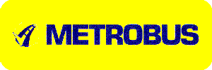 Metrobus other buses